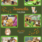 Projektový den Jesenická fauna